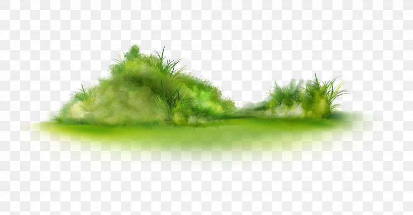 Clip Art, PNG, 3400x1772px, Picture Frame, Data, Grass, Grass Family, Green Download Free