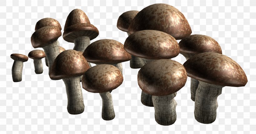 Edible Mushroom Fungus Clip Art, PNG, 4000x2100px, Mushroom, Agaricus, Edible Mushroom, Fungus, Garlic Download Free