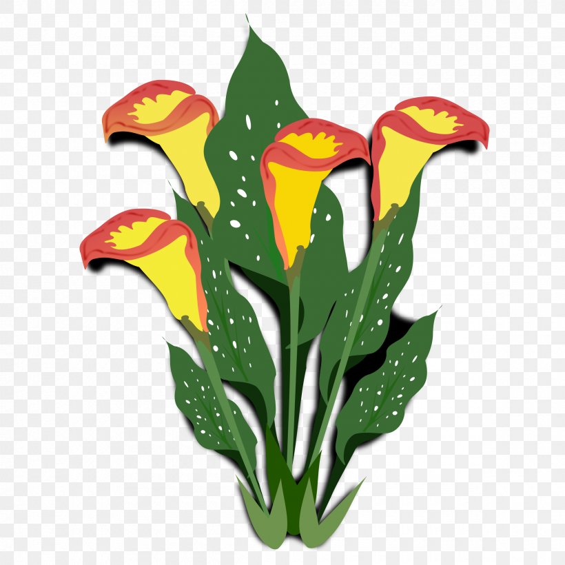 Flower Arum-lily Clip Art, PNG, 2400x2400px, Flower, Arumlily, Flora, Flowering Plant, Flowerpot Download Free