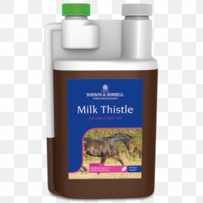 Milk Thistle - Horse Dietary Supplement Herb Milk Thistle Health PNG
