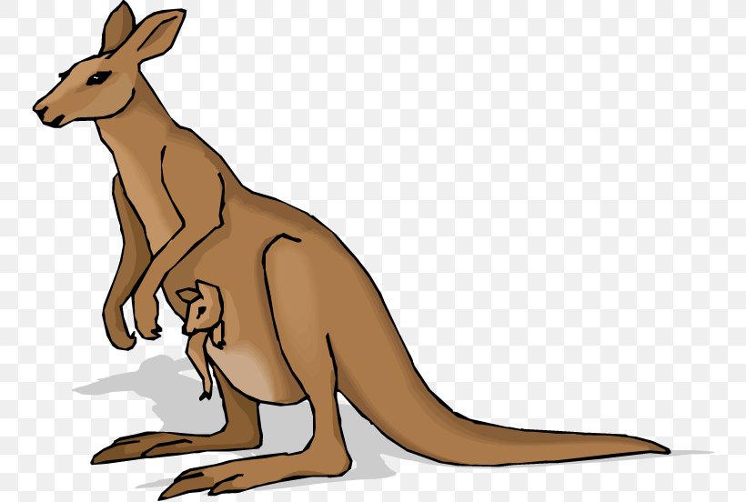 Joey Kangaroo Clip Art, PNG, 750x552px, Kangaroo, Animal Figure, Animation, Fauna, Hare Download Free
