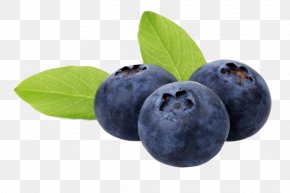 Delicious Blueberry Fruit - Blueberry Auglis Food Anthocyanin Fruit PNG