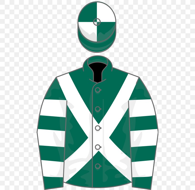 Sleeve Fred Winter Juvenile Novices' Handicap Hurdle T-shirt Poster Wikipedia, PNG, 512x799px, Sleeve, Film, Film Poster, Green, Hurdling Download Free