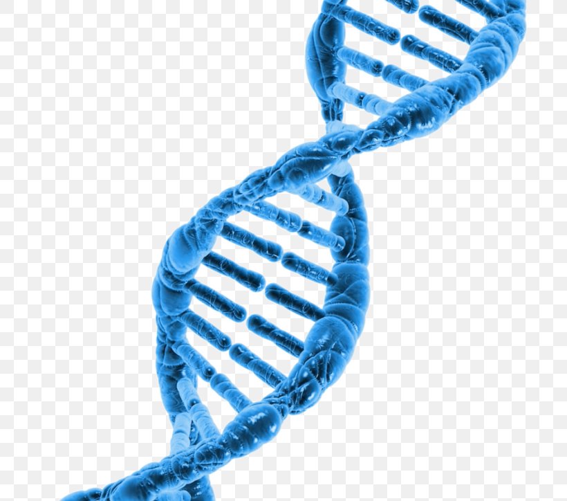 Surname DNA Project Cell Hair Loss Genome, PNG, 720x724px, Dna, Cell, Chromosome, Electric Blue, Gene Download Free