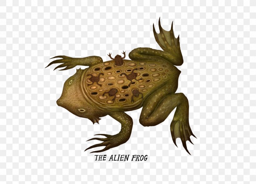 Toad True Frog Surinam Horned Frog, PNG, 1280x920px, Toad, Amphibian, Argentine Horned Frog, Art, Cane Toad Download Free
