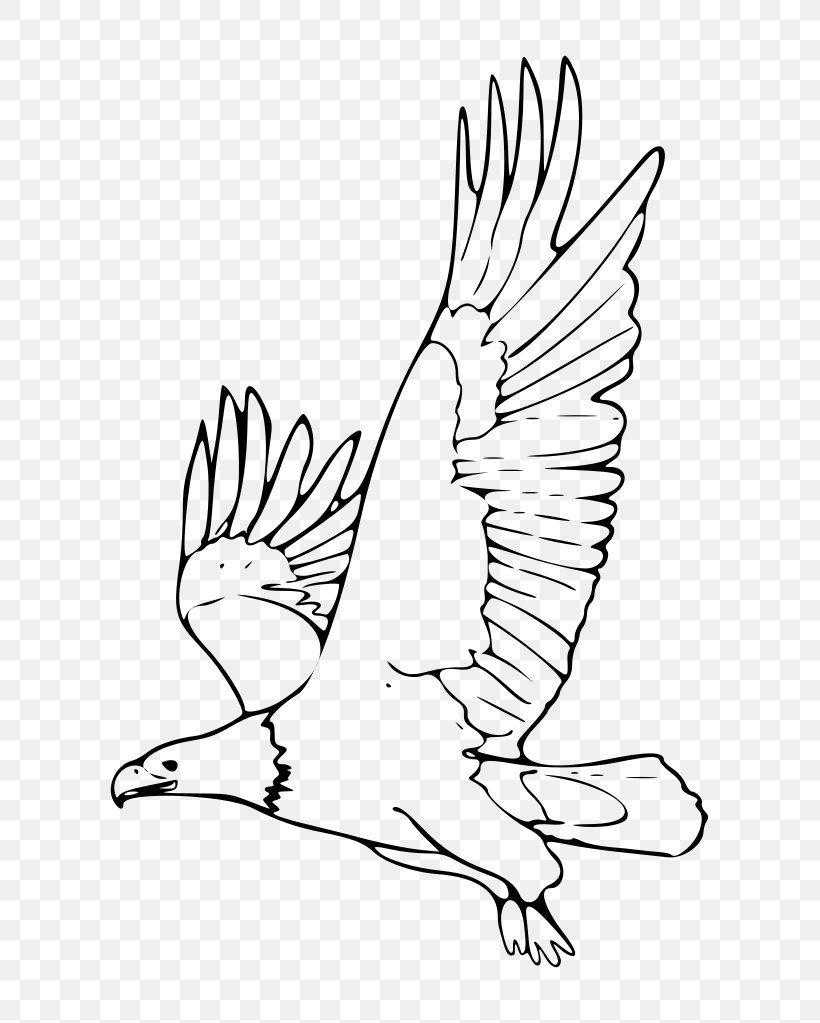 Bald Eagle White-tailed Eagle Clip Art, PNG, 709x1023px, Bald Eagle, Art, Artwork, Beak, Bird Download Free