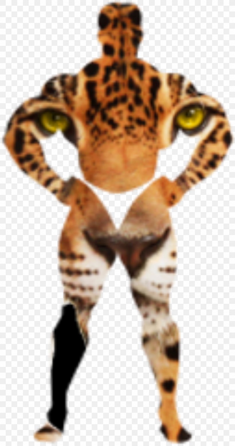 Felidae African Leopard Cheetah Tiger Snow Leopard, PNG, 1095x2079px, Felidae, African Leopard, Animal, Big Cat, Big Cats Download Free