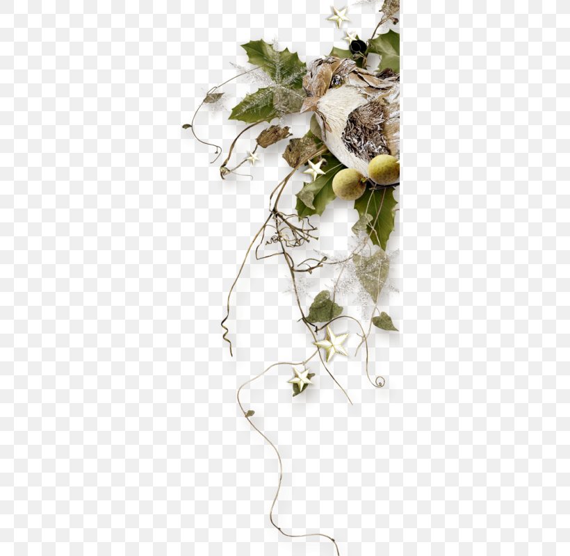 Floral Design Twig Leaf Plant Stem, PNG, 330x800px, Floral Design, Branch, Flora, Floristry, Flower Download Free