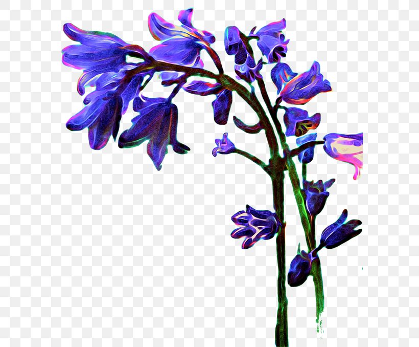 Lavender Cut Flowers Floral Design Violet, PNG, 600x678px, Lavender, Branch, Branching, Cut Flowers, Flora Download Free