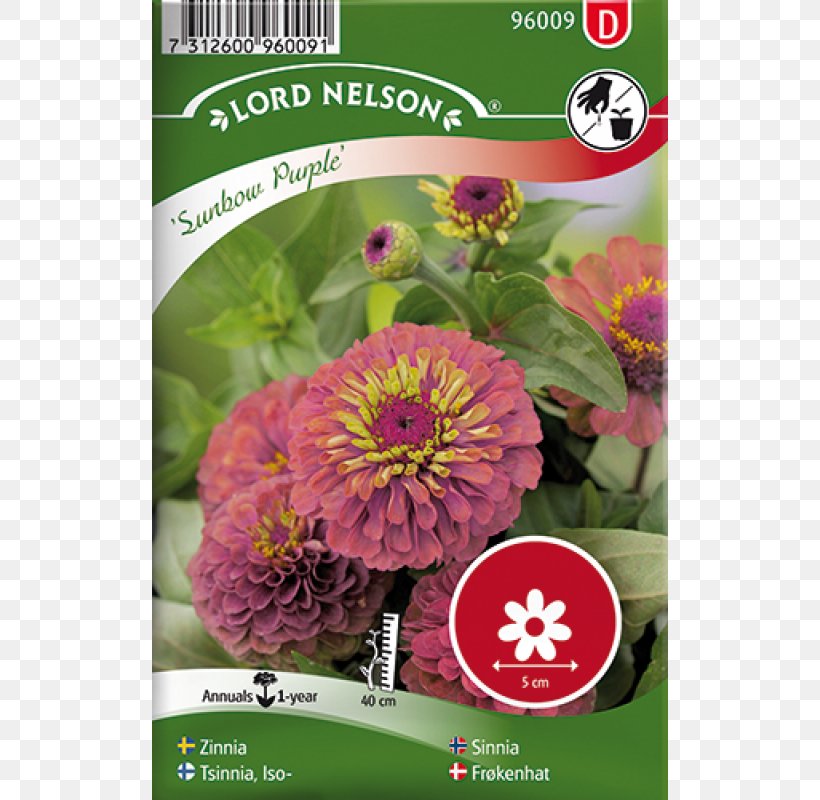 Seed Annual Plant Flower Common Zinnia Red, PNG, 800x800px, Seed, Annual Plant, Blue, Common Sunflower, Common Zinnia Download Free