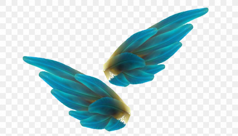 Bird Feather Angel Wing, PNG, 875x500px, Bird, Aile, Angel, Blue, Butterfly Download Free