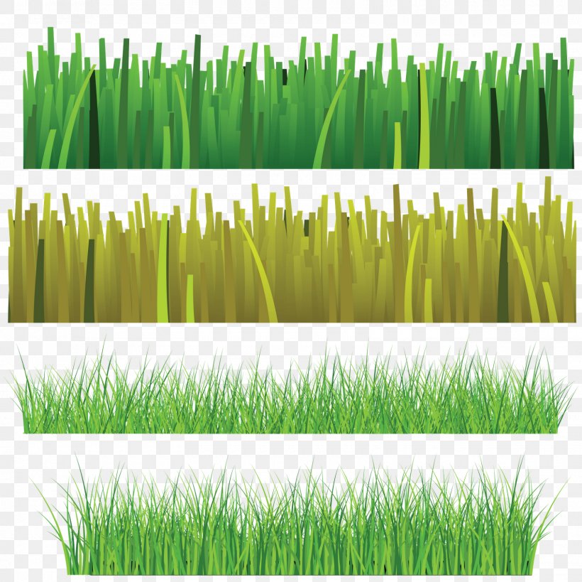 Clip Art, PNG, 1600x1600px, Art, Chrysopogon Zizanioides, Commodity, Drawing, Field Download Free