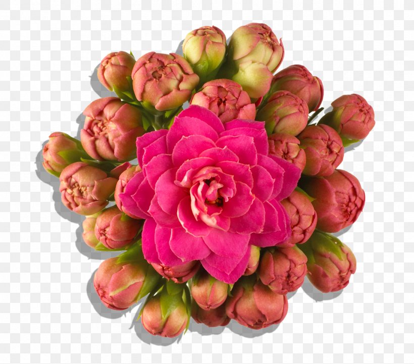 Floral Design Florist Kalanchoe Cut Flowers Petal, PNG, 1096x965px, Floral Design, Cut Flowers, Florist Kalanchoe, Floristry, Flower Download Free