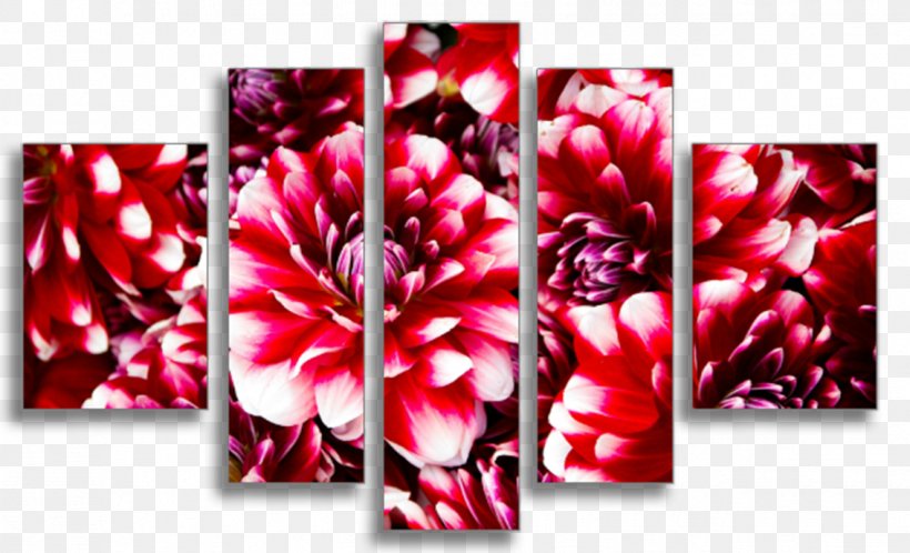 Floral Design Greeting & Note Cards Art Poster Font, PNG, 1134x690px, Floral Design, Art, Centimeter, Floristry, Flower Download Free