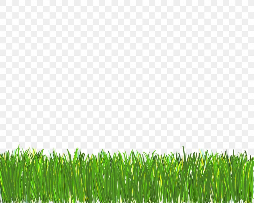 Lawn Desktop Wallpaper Clip Art, PNG, 1280x1024px, Lawn, Commodity, Field, Grass, Grass Family Download Free