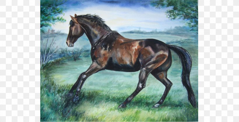 Stallion Watercolor Painting Foal Mustang, PNG, 1170x600px, Stallion, Acrylic Paint, Art, Bay, Bridle Download Free