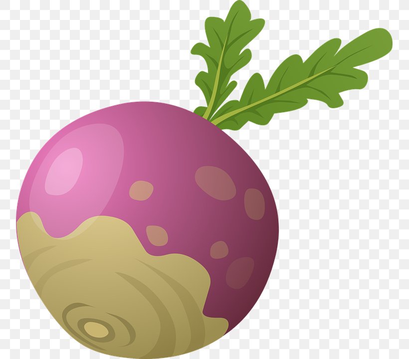 The Gigantic Turnip Vegetable Clip Art, PNG, 755x720px, The Gigantic Turnip, Bbcode, Beetroot, Food, Fruit Download Free