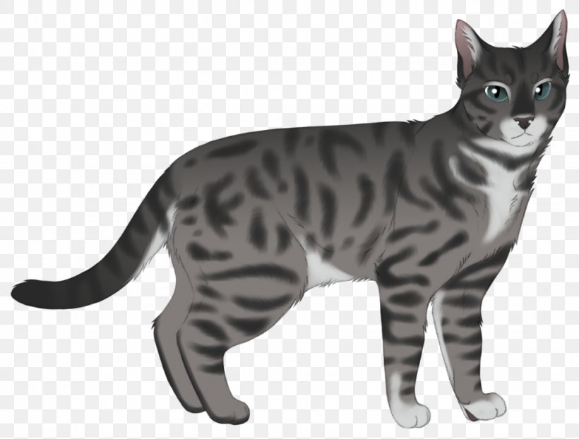 American Shorthair California Spangled American Wirehair European Shorthair Manx Cat, PNG, 1024x777px, American Shorthair, American Wirehair, Asian, Bengal, Bengal Cat Download Free