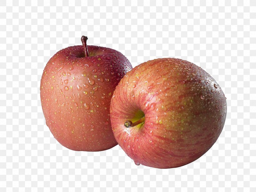 Apple Software, PNG, 1024x769px, Apple, Drawing, Food, Fruit, Image Resolution Download Free