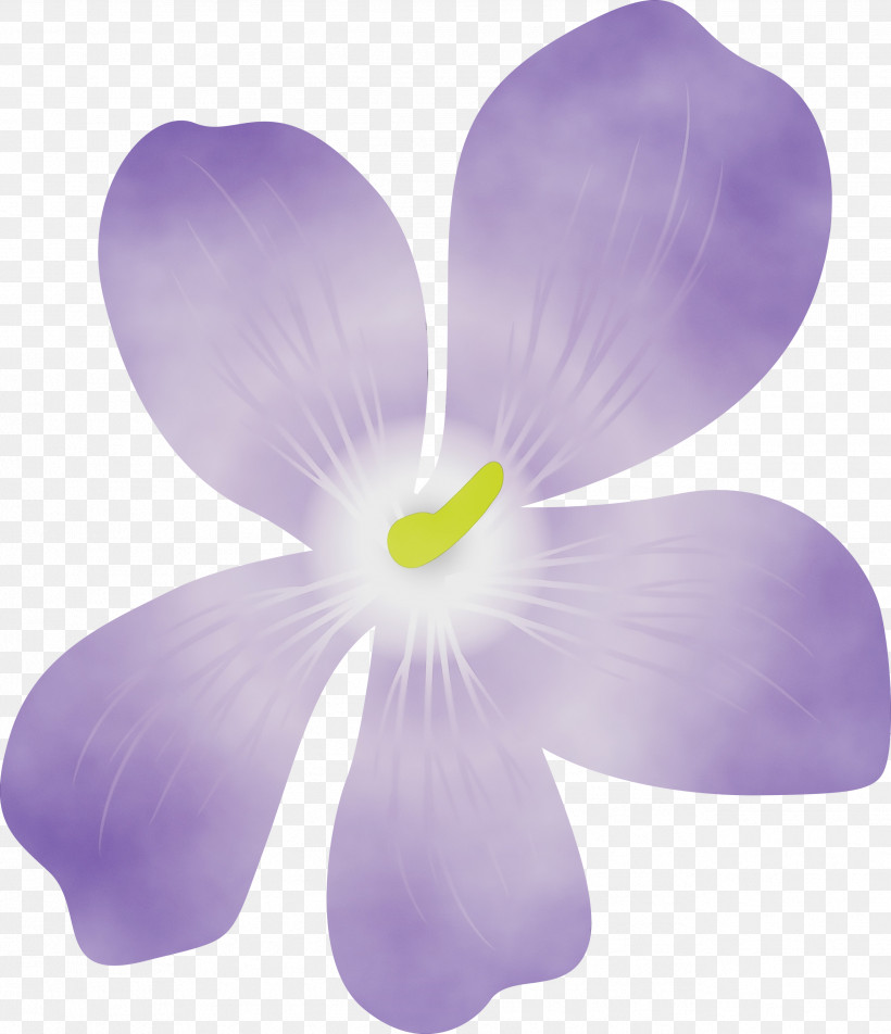Lavender, PNG, 2582x2999px, Violet Flower, Biology, Lavender, Paint, Petal Download Free