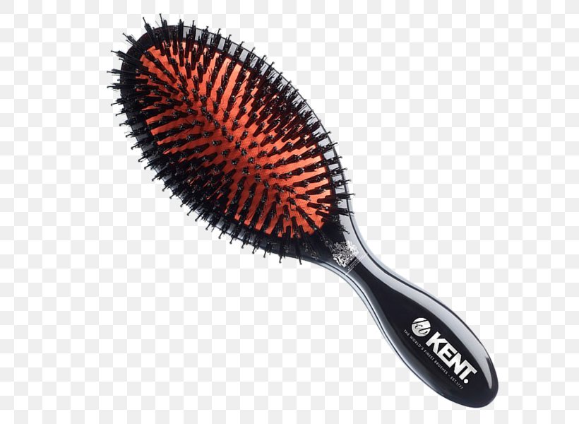 Comb Hairbrush Bristle Mason Pearson Brushes, PNG, 600x600px, Comb, Bristle, Brush, Hair, Hairbrush Download Free
