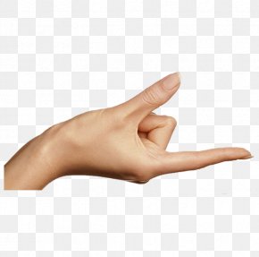 Finger Direction Index Finger Thumb - Thumb Index Finger Ring Finger Digit PNG