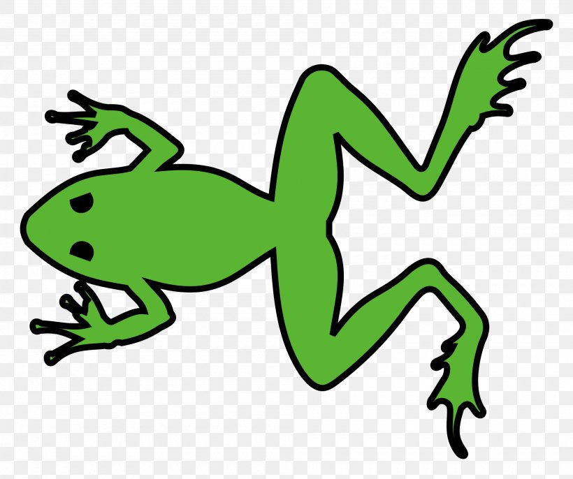 Amphibian France Grenouille Verte Frog Rainette, PNG, 2000x1674px, Amphibian, Animal Figure, Art, Artwork, Black And White Download Free