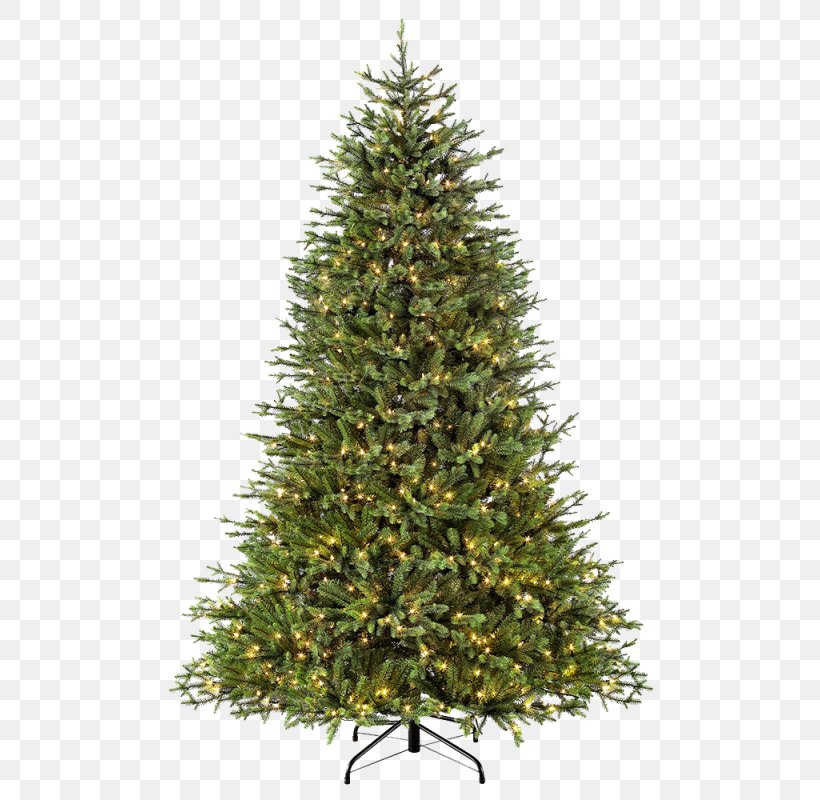 Christmas Black And White, PNG, 800x800px, Fraser Fir, American Larch, Arizona Cypress, Artificial Christmas Tree, Balsam Fir Download Free