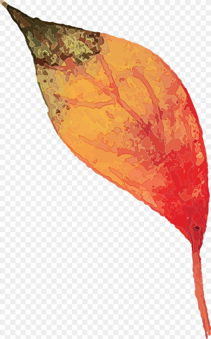 Leaf Science Biology Plant Structure Plants, PNG, 1870x3000px, Autumn Leaf, Biology, Colorful Leaf, Leaf, Paint Download Free