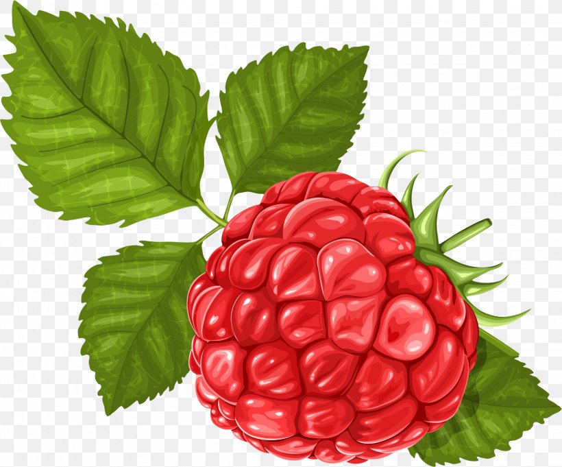 Raspberry Clip Art, PNG, 2248x1868px, Raspberry, Berry, Blackberry, Boysenberry, Drawing Download Free