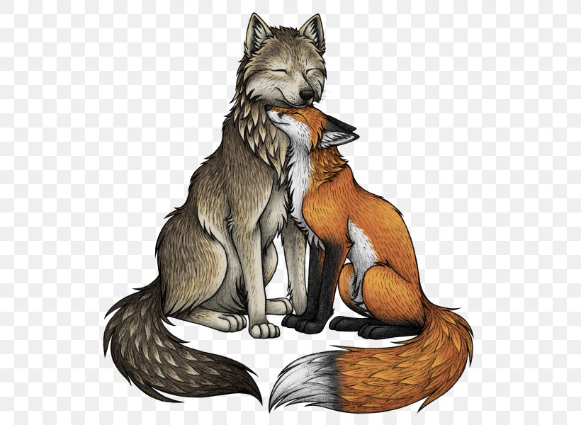 Red Fox Gray Wolf Drawing, PNG, 555x600px, Red Fox, Art, Carnivoran, Dog Like Mammal, Drawing Download Free
