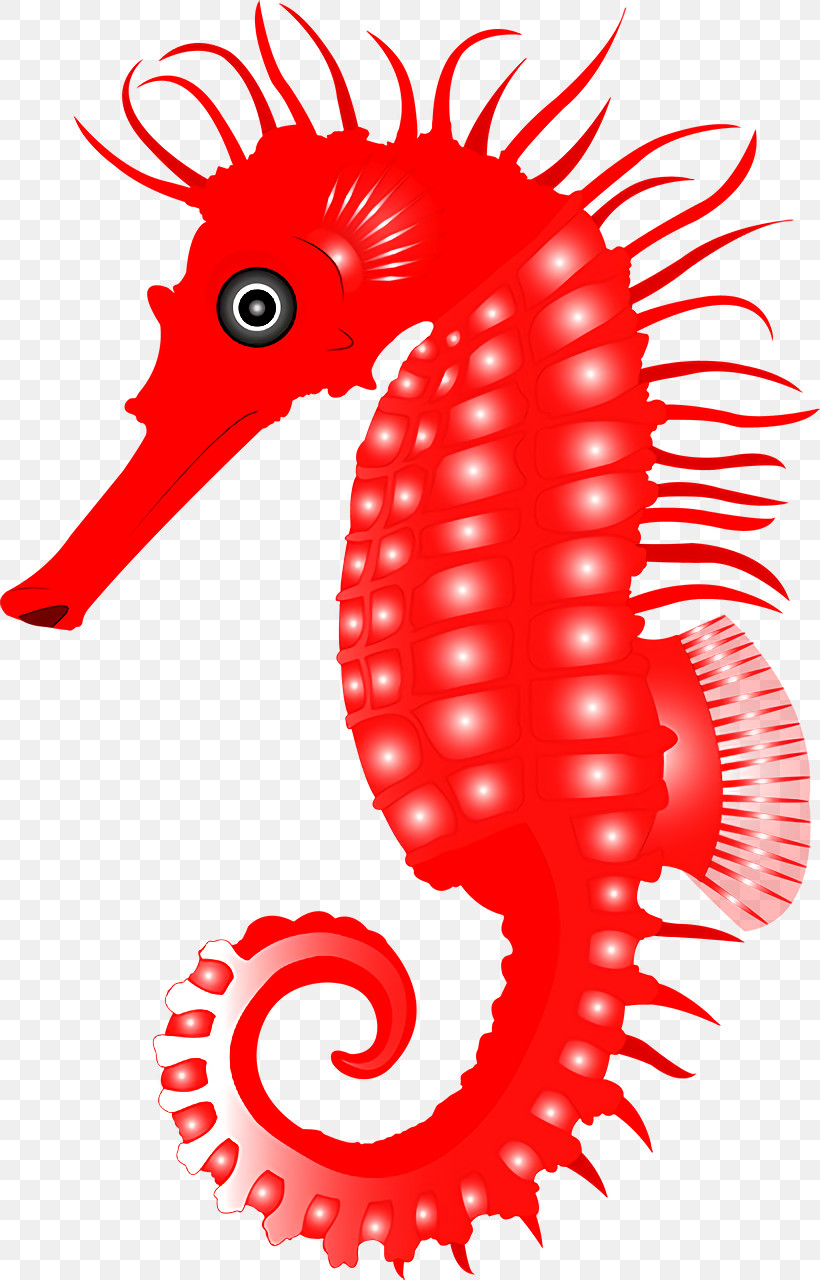 Seahorses Fish Area Geometry Biology, PNG, 820x1280px, Seahorses, Area, Biology, Fish, Geometry Download Free