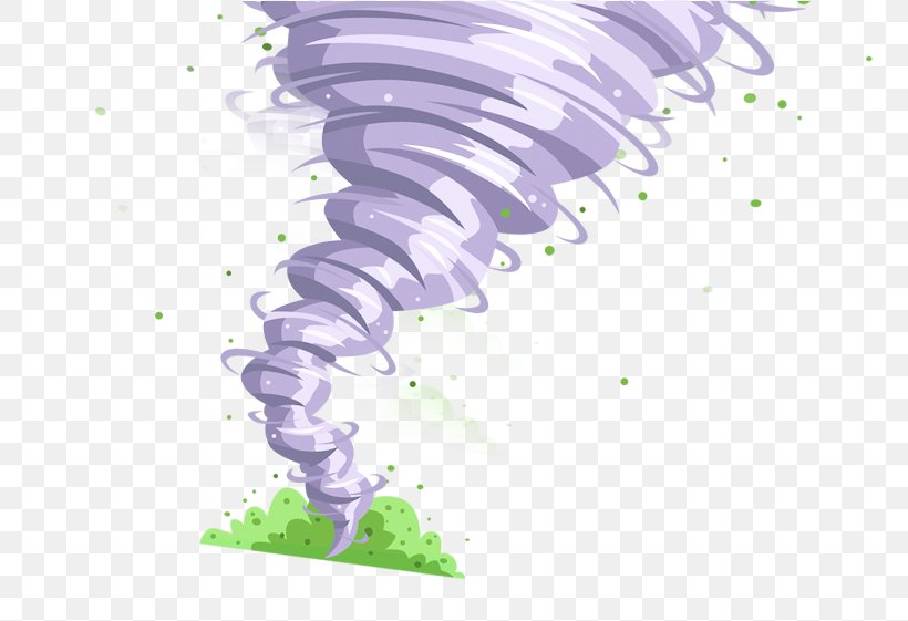 Tornado Wind, PNG, 773x561px, Tornado, Cartoon, Ciclon, Drawing, Organism Download Free