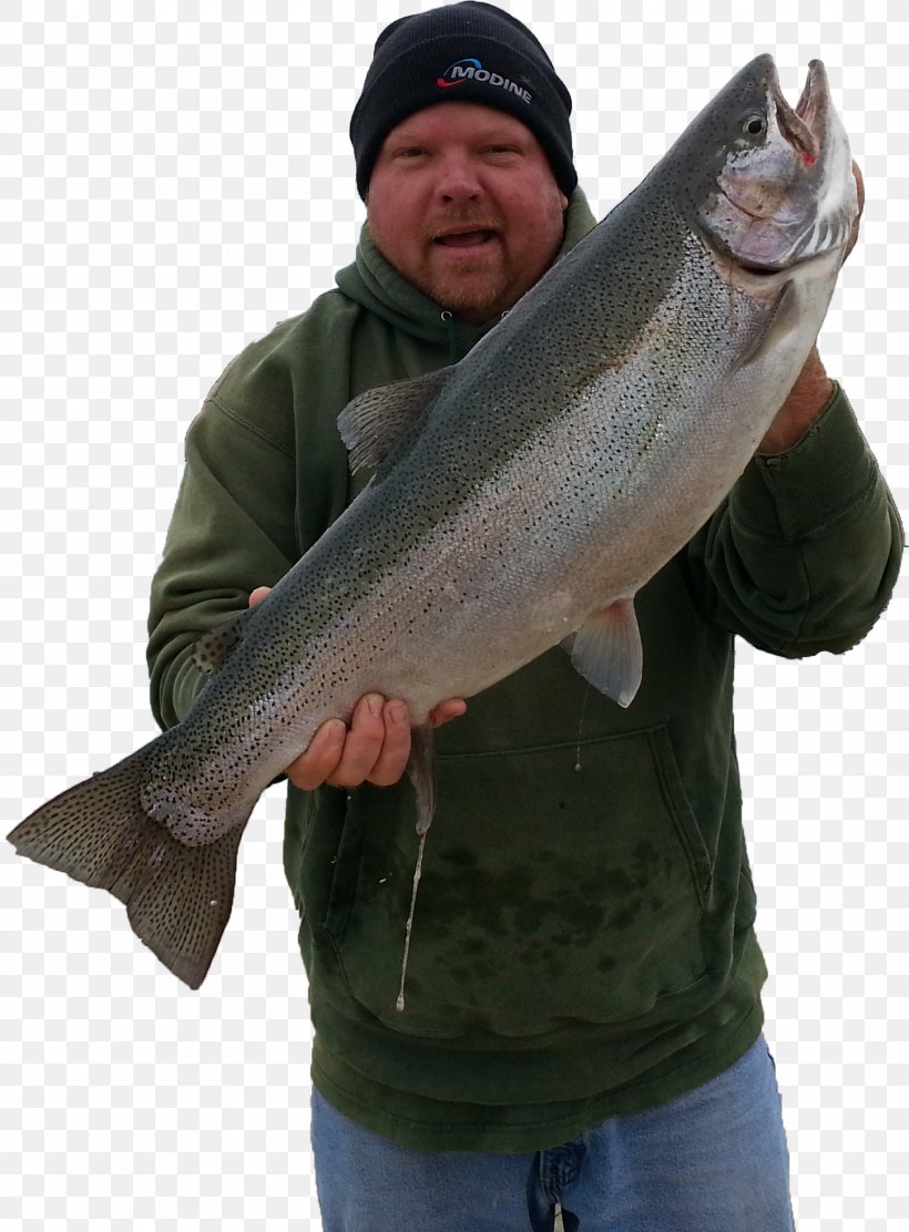 A1 Big Fish Charters Fishing Salmon Trout, PNG, 1448x1965px, Fishing, Barramundi, Bass, Big Fish Games, Cod Download Free