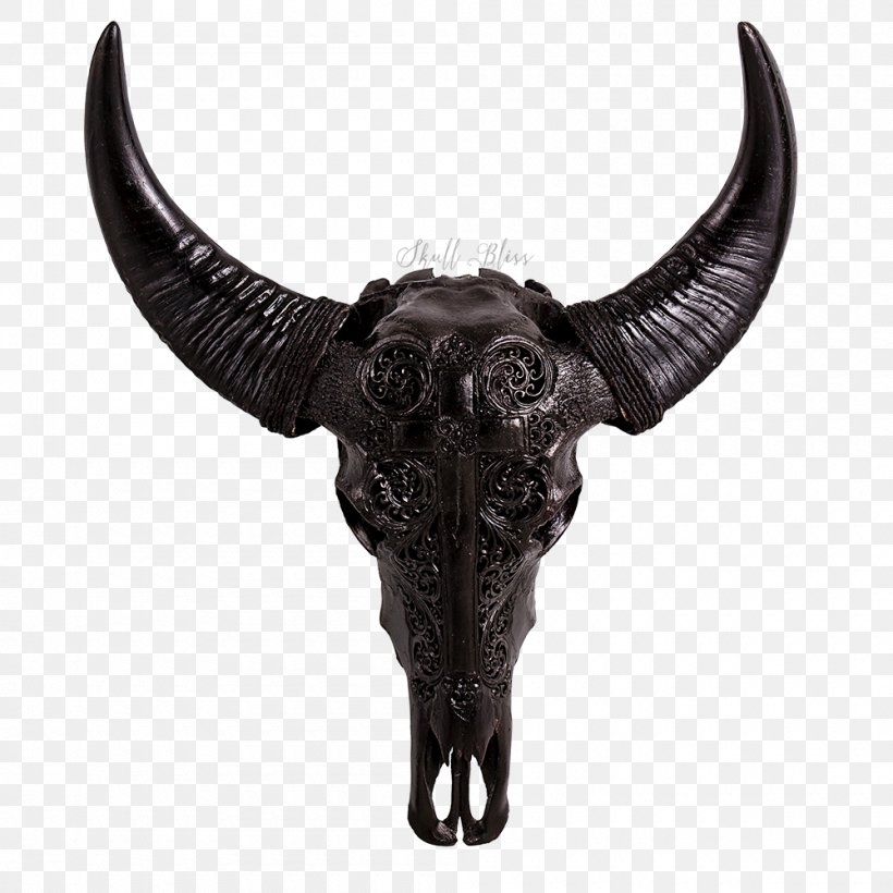 Cattle Horn Animal Skulls Water Buffalo, PNG, 1000x1000px, Cattle, American Bison, Animal, Animal Skulls, Bison Download Free