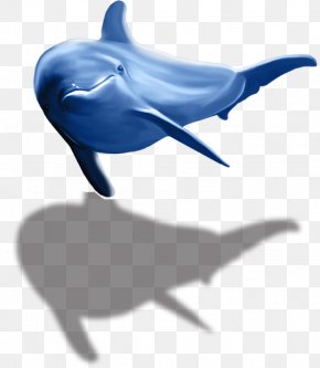 Dolphin - Common Bottlenose Dolphin Tucuxi Wholphin Porpoise PNG