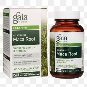 Maca Root - Dietary Supplement Maca Herb Vegetarian Cuisine Vegetable PNG