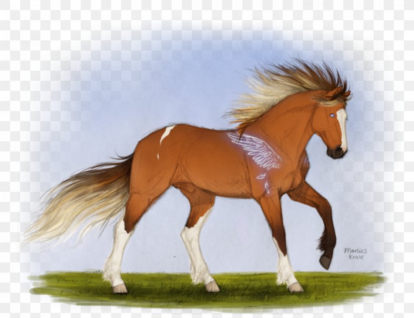 Mustang Stallion Foal Mare Colt, PNG, 1019x784px, Mustang, Bridle, Colt, Foal, Grass Download Free