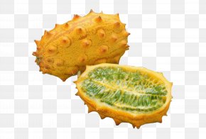 Horned Melon Slice - Ackee And Saltfish Tropical Fruit Horned Melon Sapodilla PNG