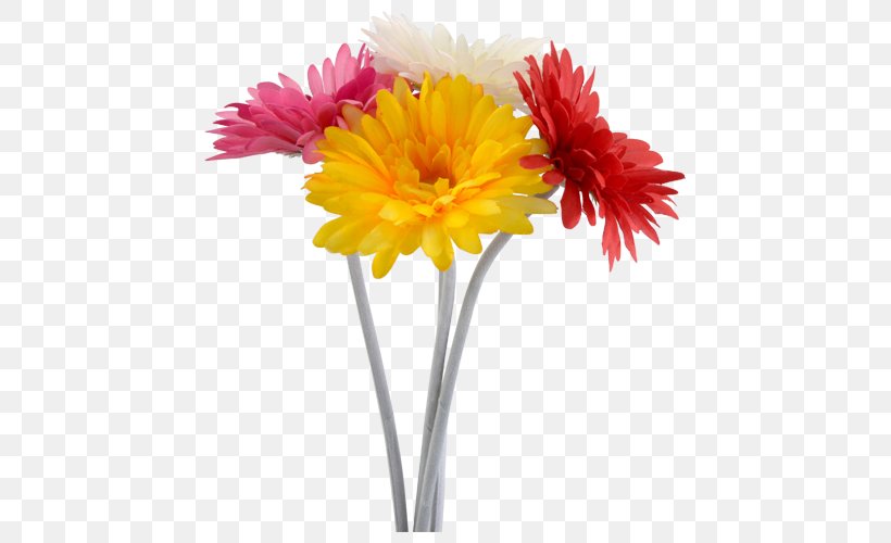 Transvaal Daisy Floristry Cut Flowers Chrysanthemum, PNG, 500x500px, Transvaal Daisy, Artificial Flower, Chrysanthemum, Chrysanths, Cut Flowers Download Free