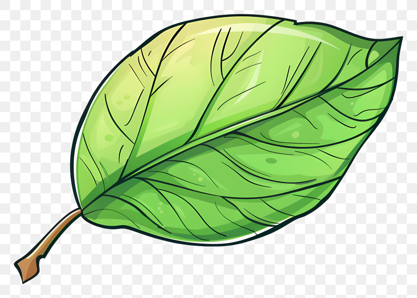 Cartoon Leaf - Colorful Green Leaf Illustration PNG