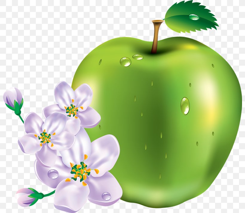 Clip Art Fruit Psd Adobe Illustrator Artwork, PNG, 800x714px, Fruit, Apple, Digital Image, Food, Granny Smith Download Free