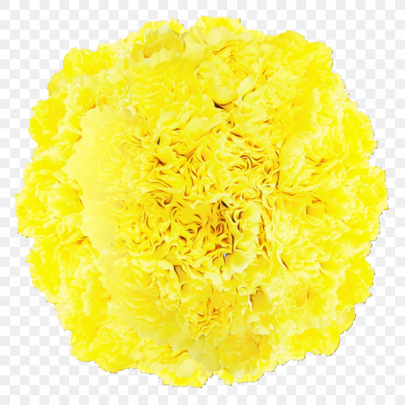 Cut Flowers Yellow Petal Flower, PNG, 1000x1000px, Watercolor, Cut Flowers, Flower, Paint, Petal Download Free