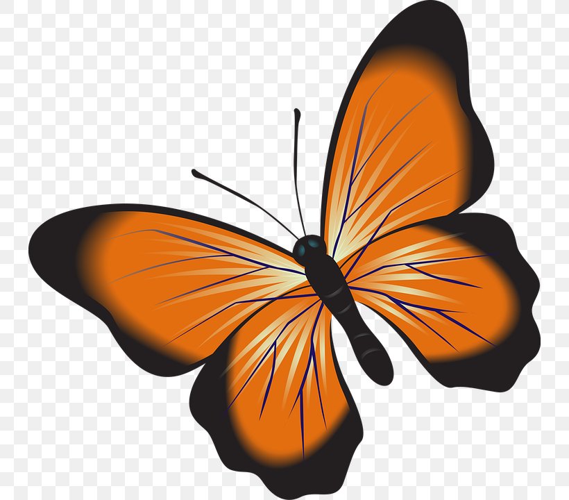 Monarch Butterfly Installation Art Clip Art, PNG, 738x720px, Butterfly, Arthropod, Brush Footed Butterfly, Butterflies And Moths, Flower Download Free