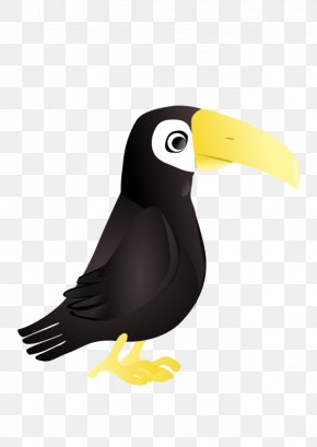 Toucan - Parrot Toucan Clip Art PNG