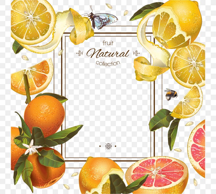 Juice Lemon Grapefruit Mandarin Orange, PNG, 738x738px, Juice, Citric Acid, Citrus, Diet Food, Drawing Download Free