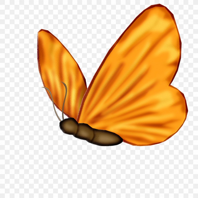 Monarch Butterfly Nymphalidae Animation Clip Art, PNG, 1600x1600px, Monarch Butterfly, Animation, Brush Footed Butterfly, Butterflies And Moths, Butterfly Download Free