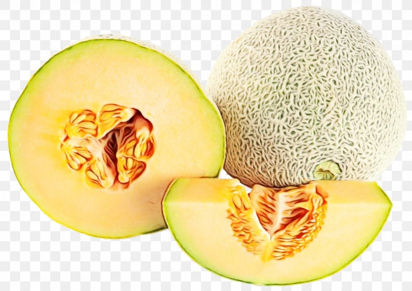 Watermelon Cartoon, PNG, 1072x758px, Cantaloupe, Canary Melon, Cucumber, Cucumis, Cucurbits Download Free