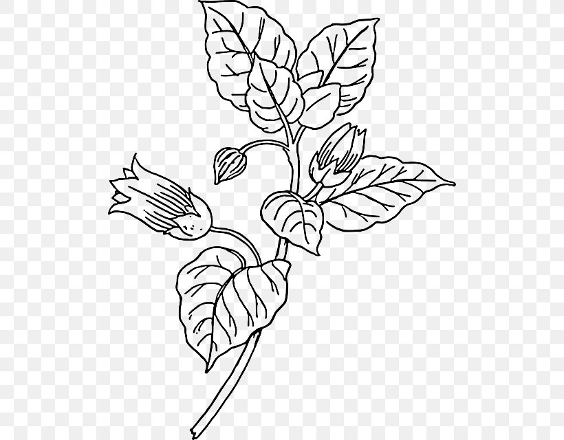 Belladonna Drawing The Head And Hands Clip Art, PNG, 506x640px, Belladonna, Andrew Loomis, Artwork, Atropa, Black And White Download Free