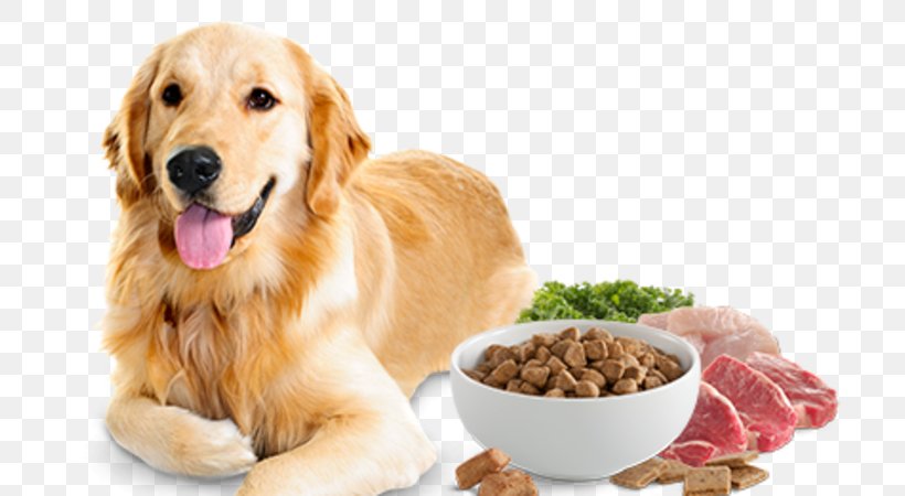 Dog Food Cat Food Pet Food, PNG, 750x450px, Dog, Cat, Cat Food, Companion Dog, Dog Breed Download Free